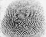 SRO Thumb Impression