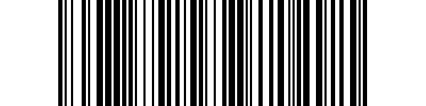 Invoice barcode QPG04GUA2J